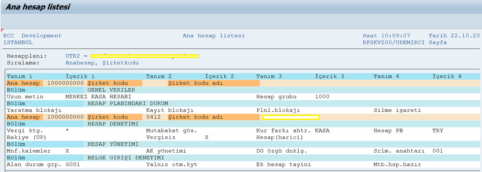 2-sap-detayl%C4%B1-ana-hesap-3.png