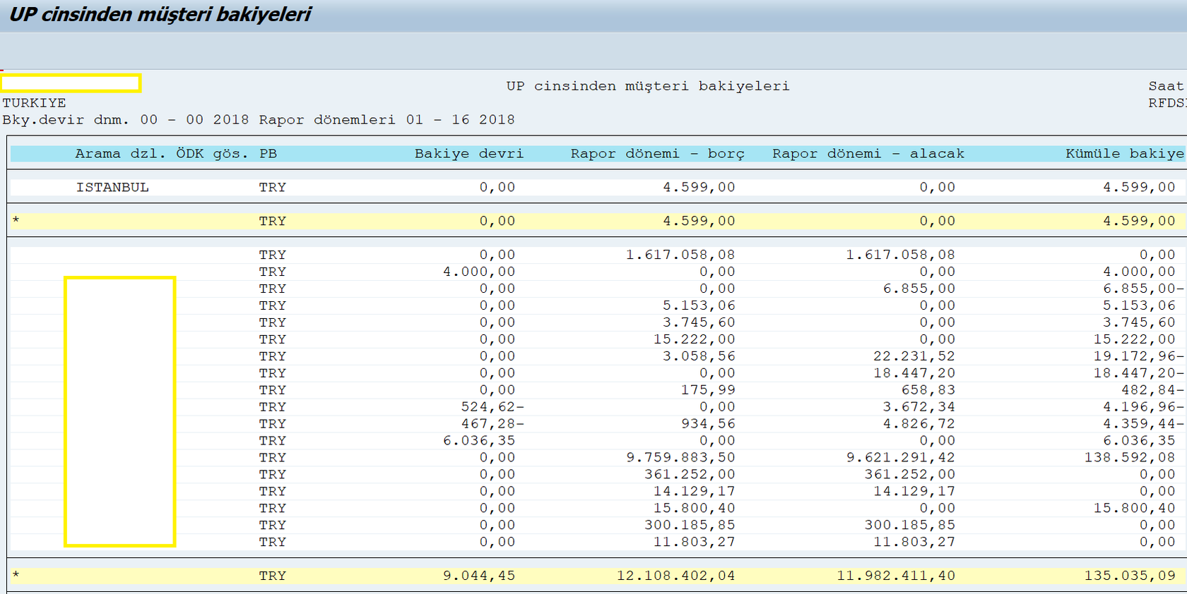 4-sap-m%C3%BC%C5%9Fteri-bakiye-listesi3.png