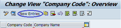 Company-Code-overview.png