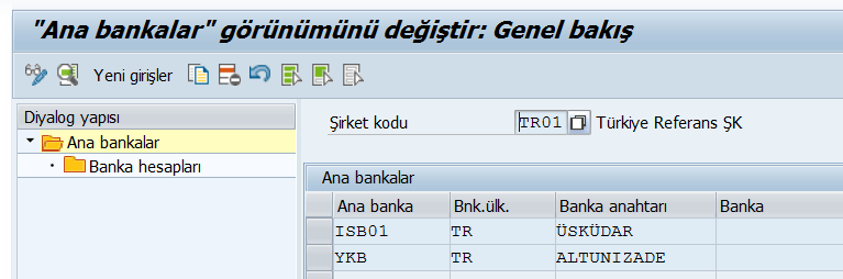 saf_fi_banka_islemleri1.png