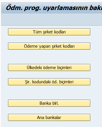 saf_fi_banka_islemleri3.png