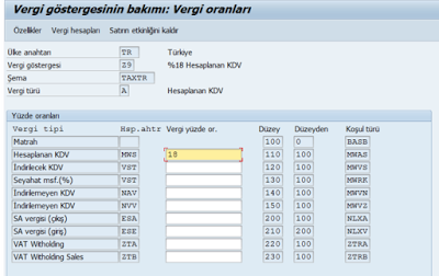 SAP%2BFI%2BKDV%2BVERG%25C4%25B0%2BSINIFI%2BTANIMLAMASI1.png