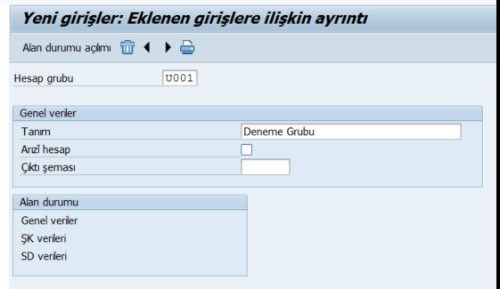 SAP%2BFI%2Bm%25C3%25BC%25C5%259Fteri%2Bhesap%2Bgrubu1.png