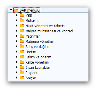 sap2_1.png