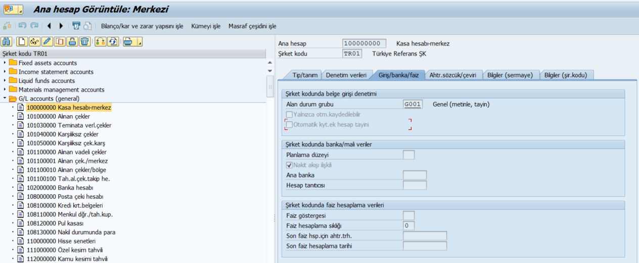 sap_fi_kasa_defteri.png