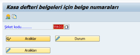 sap_fi_kasa_defteri5.png