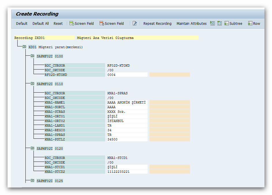 sap_lsmw_maintain_object_attributes7.png