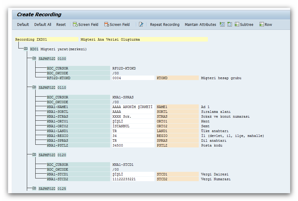 sap_lsmw_maintain_object_attributes9.png