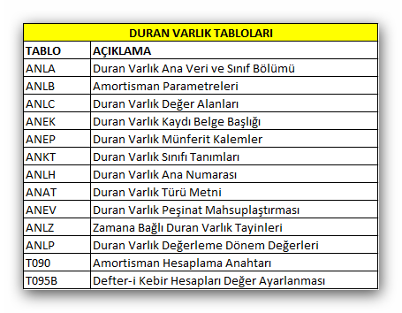 sap_tablolar_duran_varlık.png